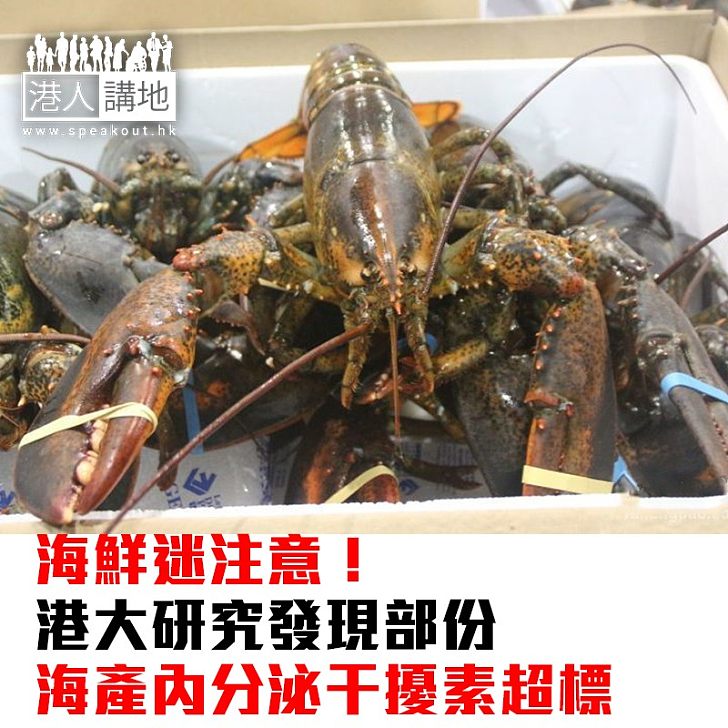 【焦點新聞】海鮮迷注意！港大研究發現部份海產內分泌干擾素超標