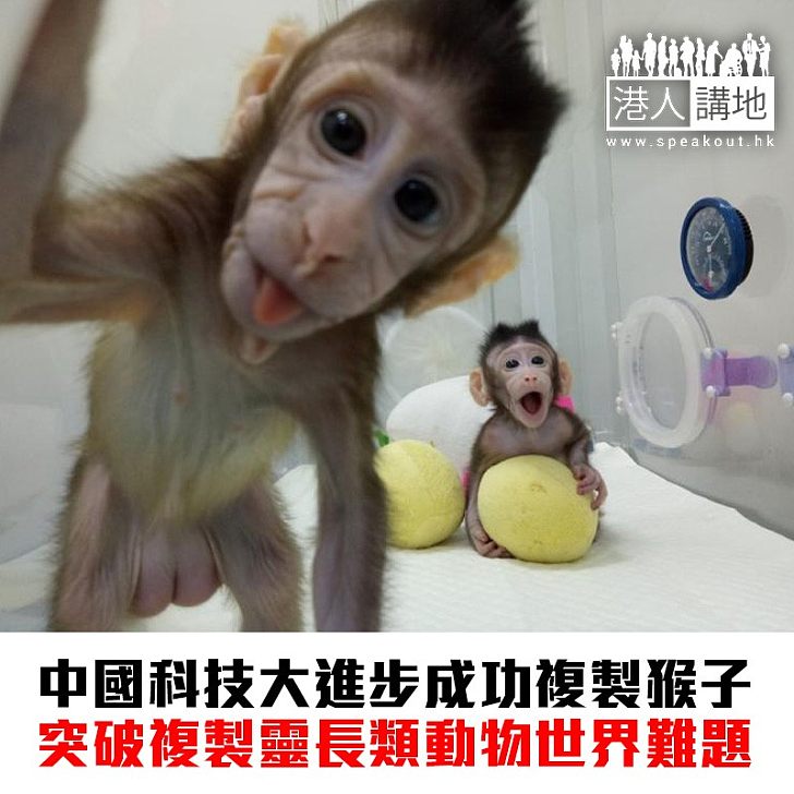 【焦點新聞】醫學大突破 中國成功複製猴子