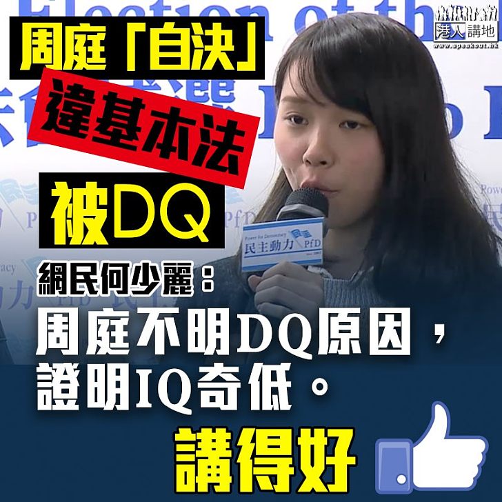 【立法會補選】諷周庭不明DQ原因 網民：周庭IQ奇低