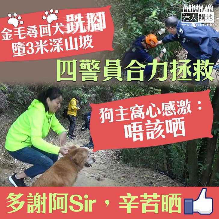 【人間有愛,一人一like多謝阿Sir!】金毛犬墮坡被困 四警員與愛協職員協力終救返