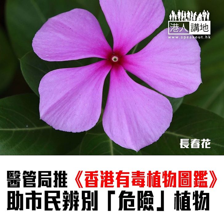 【焦點新聞】醫管局推《香港有毒植物圖鑑》電子版