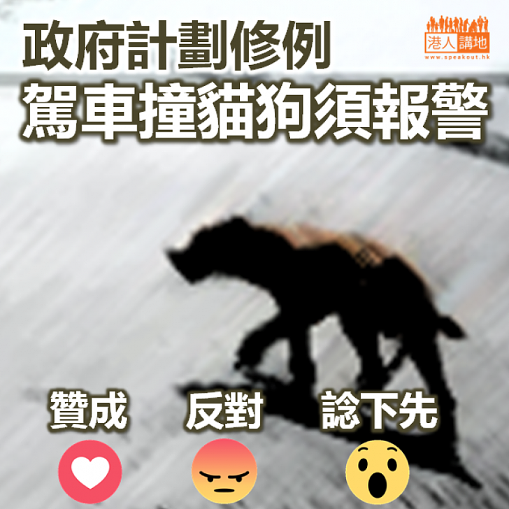 【做法合理】政府計劃修例 駕車撞貓狗須報警