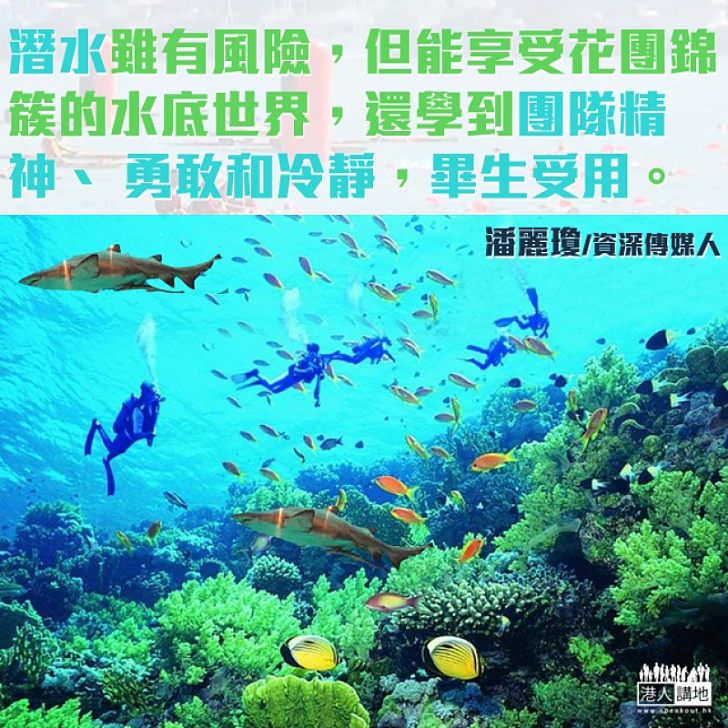 潛鯊魚洞之記憶