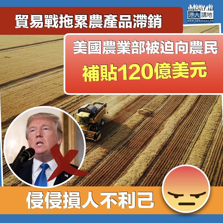 【損人害己】貿易戰拖累農產品滯銷 美國農業部被迫向農民補貼120億美元