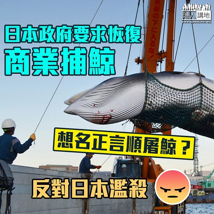 【恐怖政府】日本要求廢除商業捕鯨禁令 咁咪大屠殺鯨魚囉!