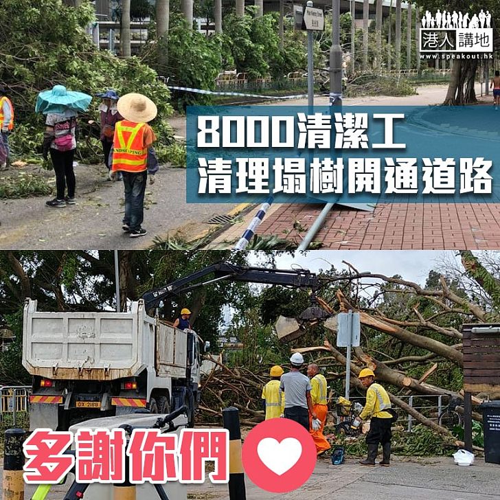 【風災過後】食環署動員8000人清理塌樹 望盡快開通所有道路