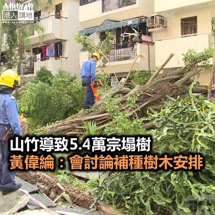 【焦點新聞】山竹導致5.4萬宗塌樹 黃偉綸：會討論補種樹木安排
