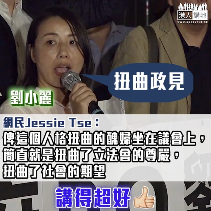 【厚顏無恥】劉小麗屈選舉主任扭曲政見 網民KO：俾你坐在議會上簡直扭曲社會期望