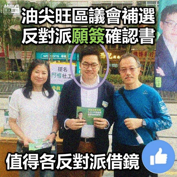 【從善如流】民主派參加區議會補選填寫確認書