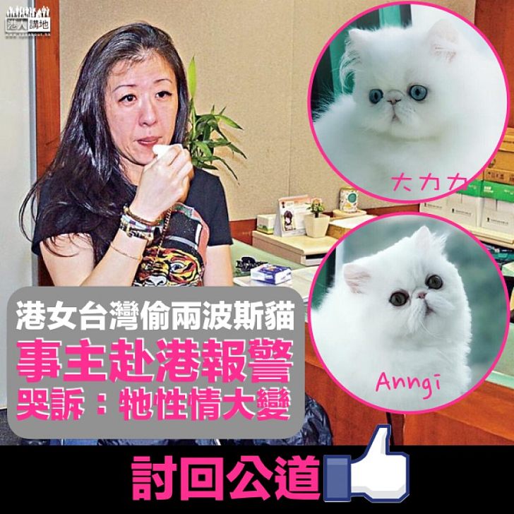 【港女偷貓】台灣赴港討回公道 事主：孩子被綁架性情大變