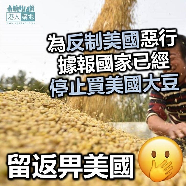 【反制美國】中國據報已暫停採購美國大豆