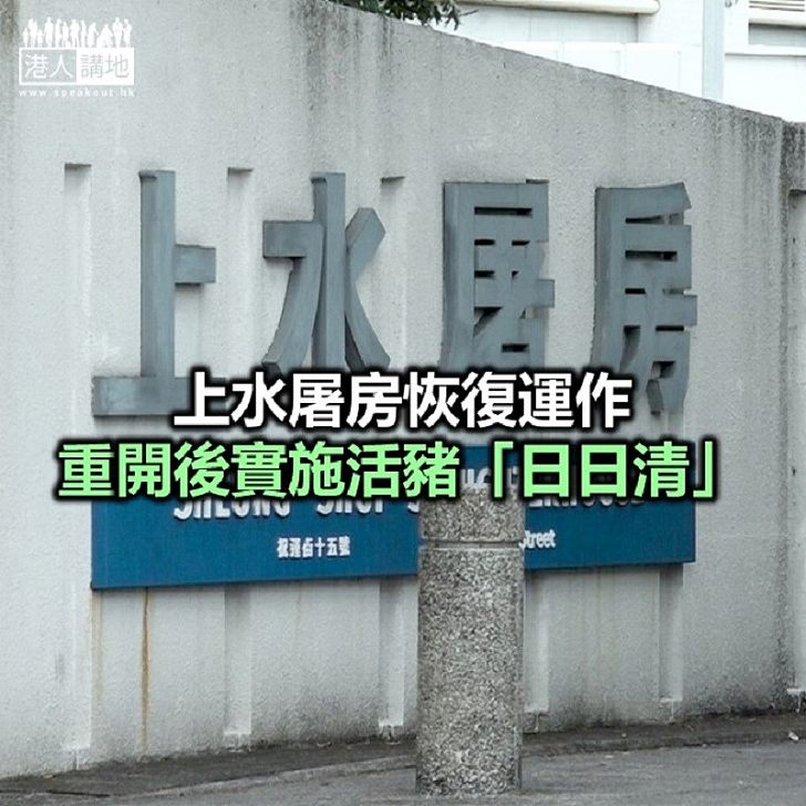 【焦點新聞】政府表示將盡快落實恢復內地活豬供港