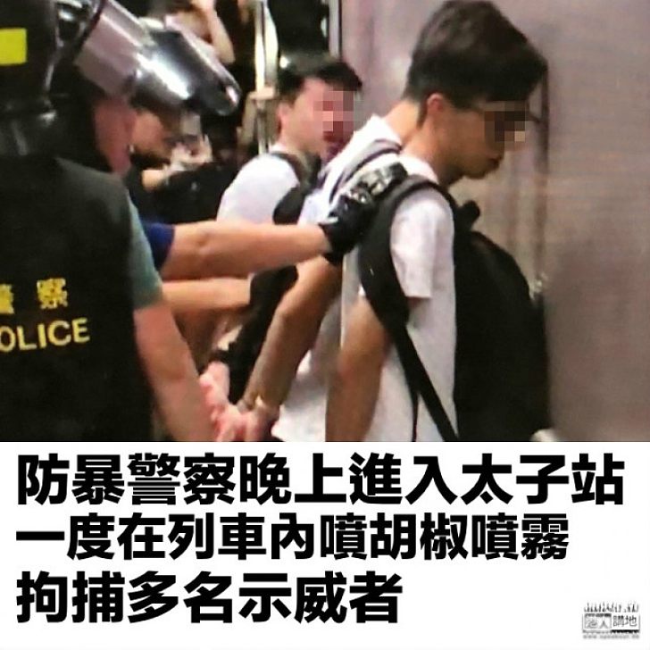 【拘捕行動】防暴警察晚上進入太子站 一度登上列車 多名示威者被捕