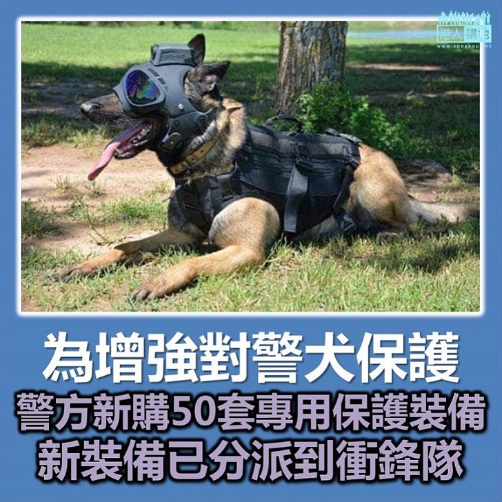 【全新裝備】50套警犬專用保護裝備隨時可應用
