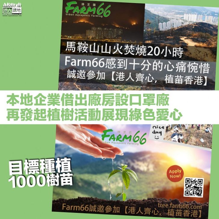 【植苗香港】馬鞍山山火焚燒20小時 本地企業發起植樹活動