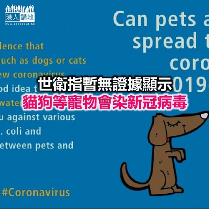 【焦點新聞】本港有確診患者的寵物狗隻對新冠病毒呈弱陽性反應
