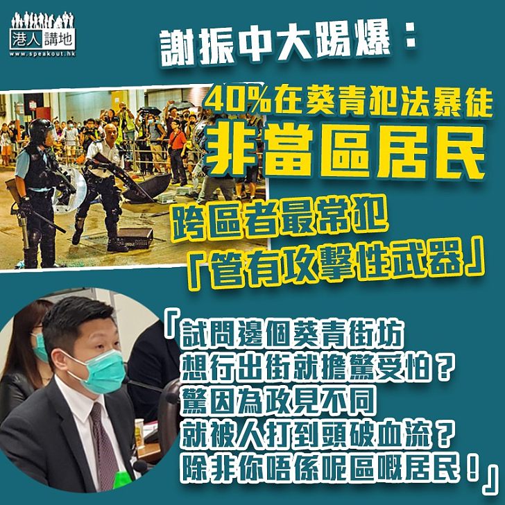 【反駁縱暴派】謝振中：40%在葵青犯法暴徒不是住在當區、最常犯罪行是「管有攻擊性武器」