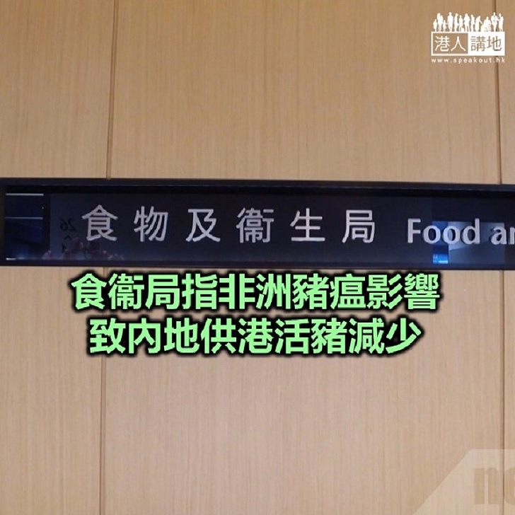 【焦點新聞】豬業界促港府放寬屠房「日日清」檢疫措施