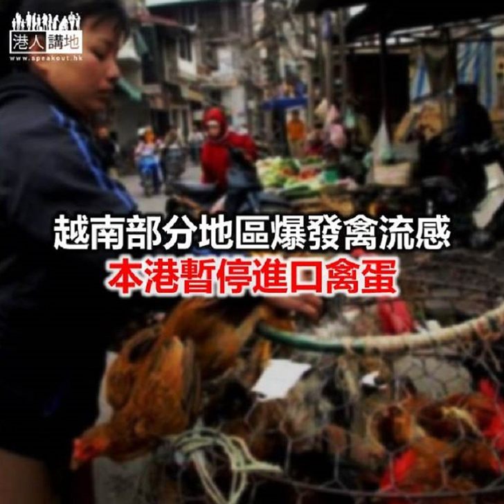 【焦點新聞】食安中心指本港並無越南禽肉進口