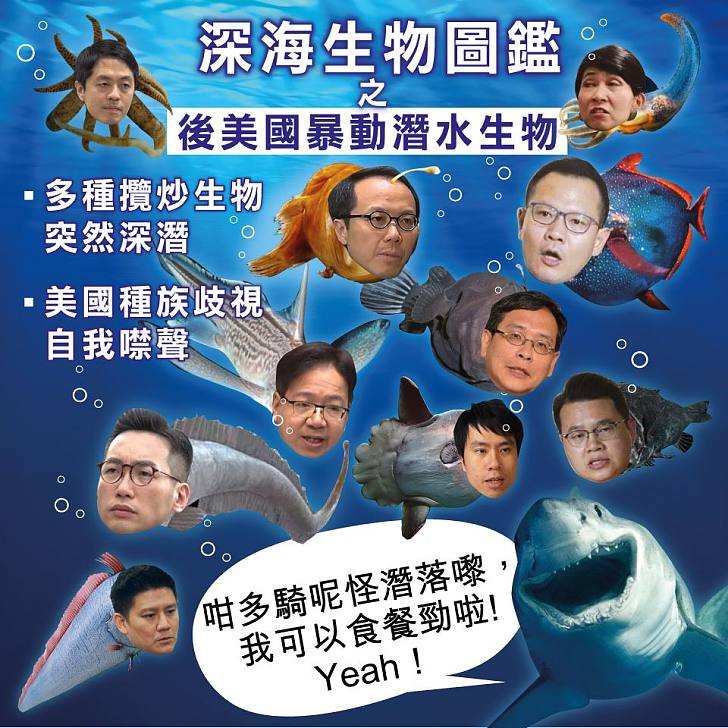 【今日網圖】深海生物圖鑑之後美國暴動潛水生物