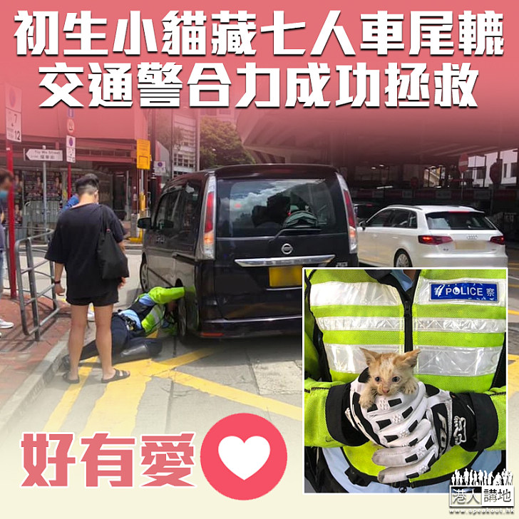 【愛護動物】初生小貓藏七人車尾轆 交通警合力成功拯救