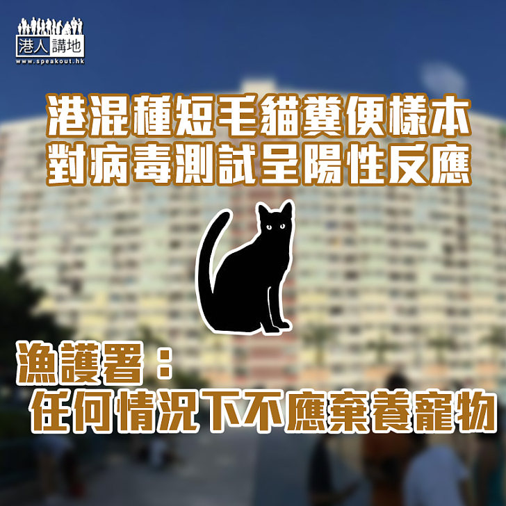 【新冠肺炎】港混種短毛貓糞便樣本對病毒測試呈陽性反應