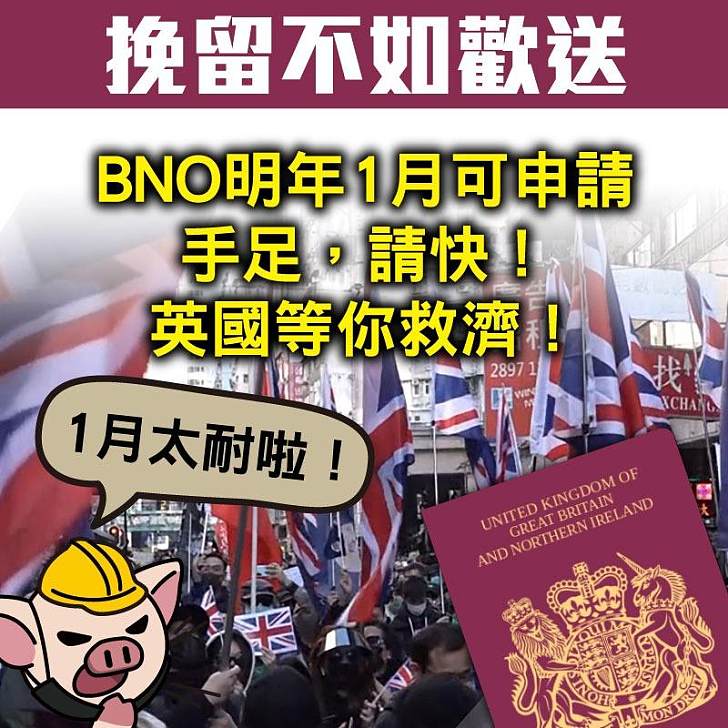 【今日網圖】BNO明年1月可申請 手足，請快！