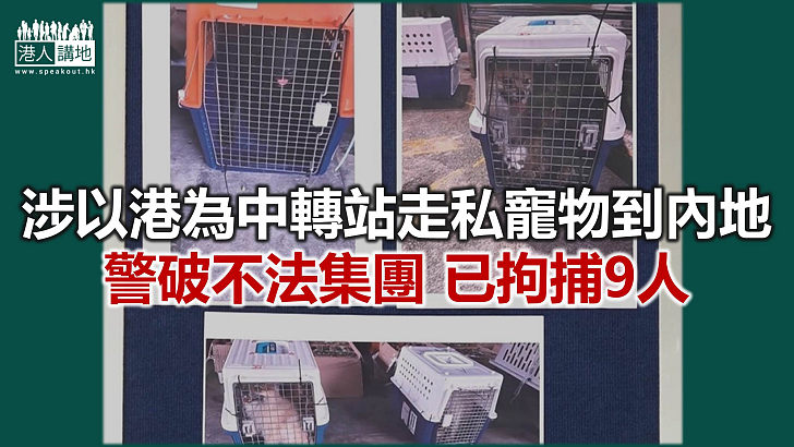【焦點新聞】警檢48隻寵物貓狗 交由愛護動物協會和漁護署接管