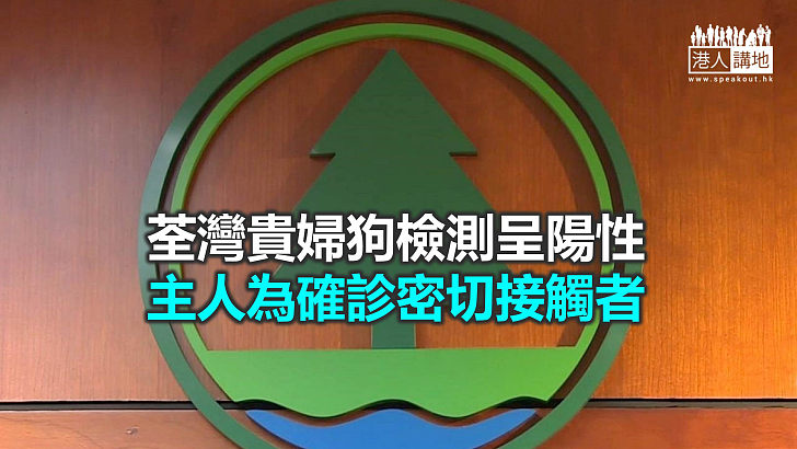 【焦點新聞】漁護署指市民若身體不適 應避免與寵物接觸