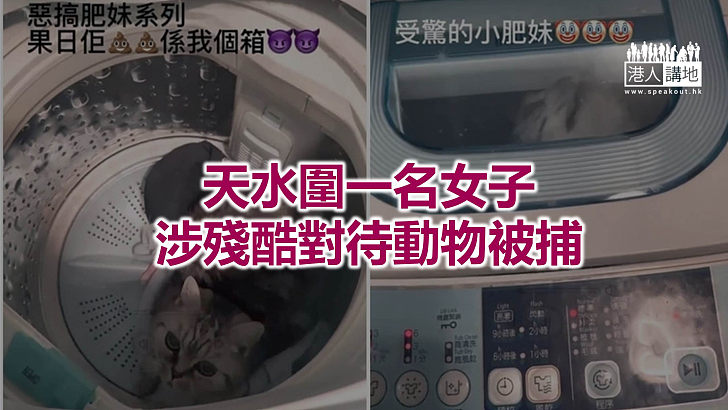 【焦點新聞】疑困貓進洗衣機開機轉動14秒 28歲女貓主被捕
