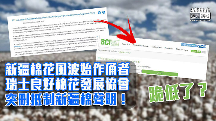 【新疆棉花】瑞士良好棉花發展協會（BCI）突刪抵制新疆棉聲明