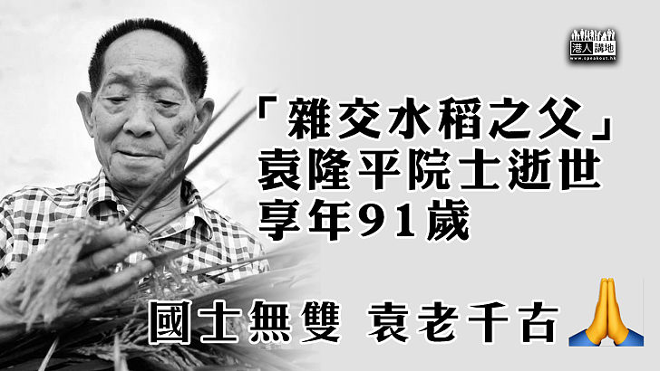 【國士無雙】「雜交水稻之父」袁隆平院士逝世 享年91歲