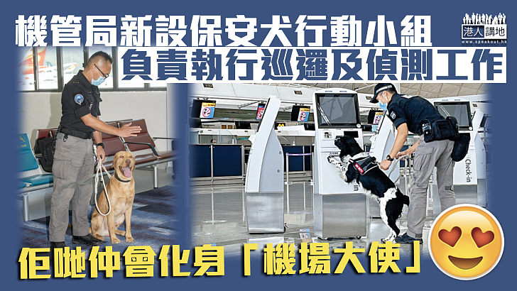 【機場安全】機管局新設保安犬行動小組 負責執行巡邏及偵測工作