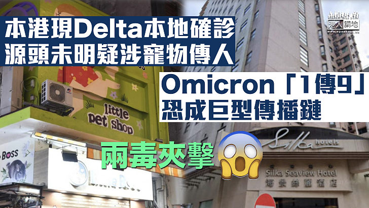 【兩毒夾擊】本港現Delta本地確診、源頭未明疑涉寵物傳人 Omicron「1傳9」、恐成巨型傳播鏈