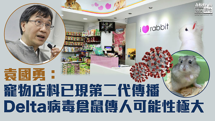 【專家之言】袁國勇：寵物店料已現第二代傳播、Delta病毒倉鼠傳人可能性極大