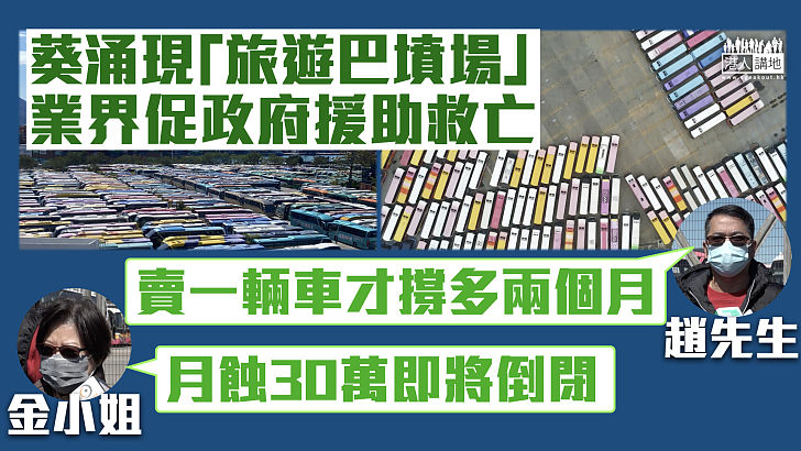 【疫境求存】大批閒置旅遊巴停泊葵涌貨櫃碼頭 非專利巴士車主月蝕30萬：或兩月內倒閉、盼政府續支援