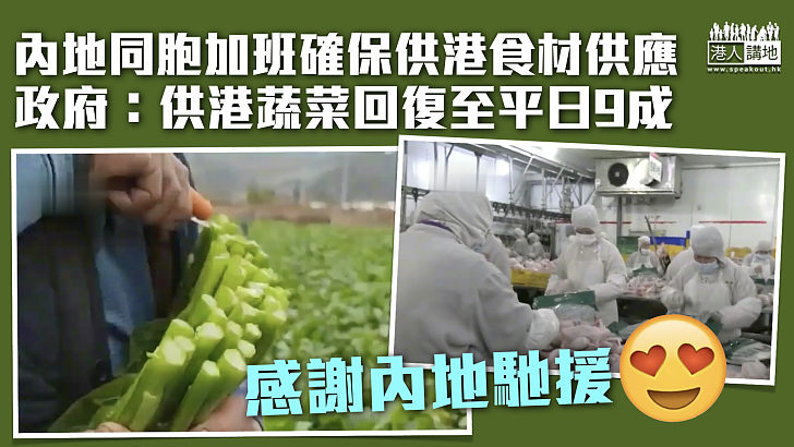 【馳援香港】內地進口食品供應量增加 供港蔬菜回復至平日9成