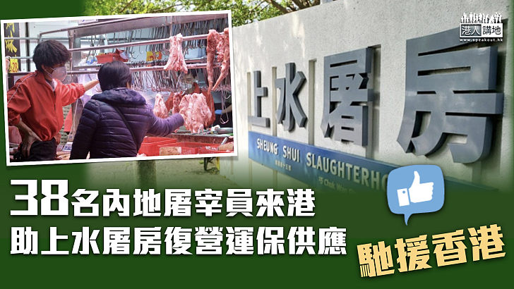 【馳援香港】38名內地屠宰員來港 助上水屠房復營運保供應