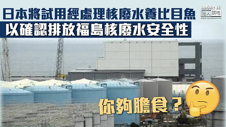 【遺禍海洋】日本將試用經處理核廢水養魚 以確認排放福島核廢水安全性