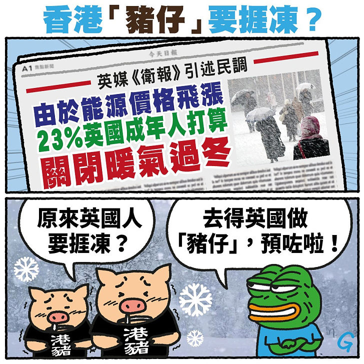【今日網圖】香港「豬仔」要捱凍？