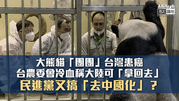 【諸行無常】台灣農委會冷血對待大熊貓 又搞「去中國化」？