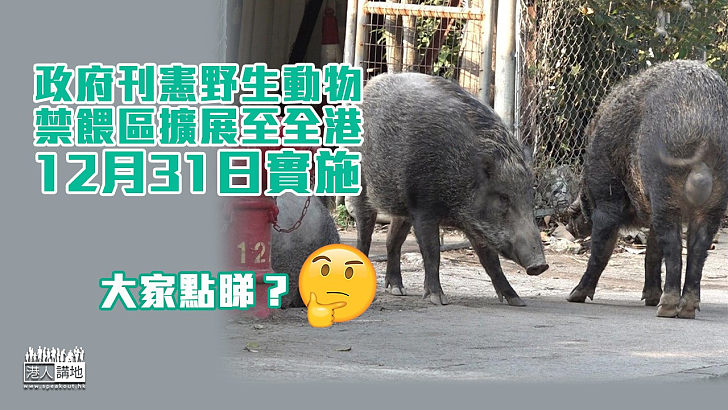 【保護野生動物】政府刊憲野生動物禁餵區擴展至全港 12月31日實施