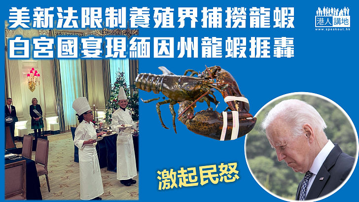 【激起民怒】養殖界捕撈龍蝦受限制 白宮國宴出現緬因州龍蝦捱轟