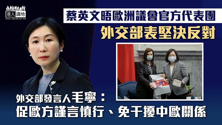 【一中原則】蔡英文晤歐洲議會官方代表團 外交部表堅決反對：促歐方謹言慎行、免干擾中歐關係