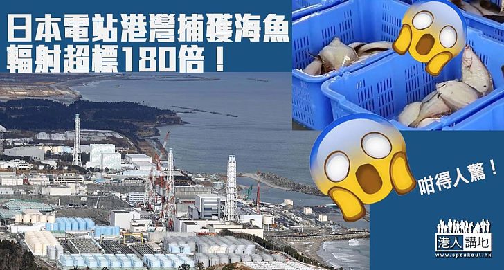 【自然環境】福島核電廠港灣發現海魚放射性物質超標 廠方最後準備排放核污水