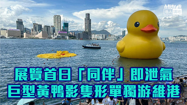 【二重暢變獨暢】展覽首日「同伴」即泄氣 巨型黃鴨影隻形單獨游維港