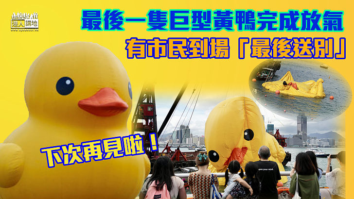 【告別香港】最後一隻巨型黃鴨完成放氣 有市民到場「最後送別」