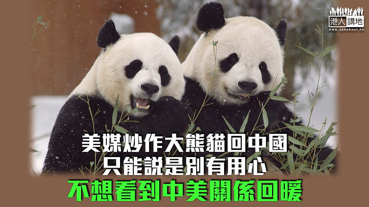 【諸行無常】藉大熊貓抹黑中國 美媒別有用心？