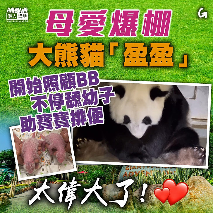 【今日網圖】母愛爆棚