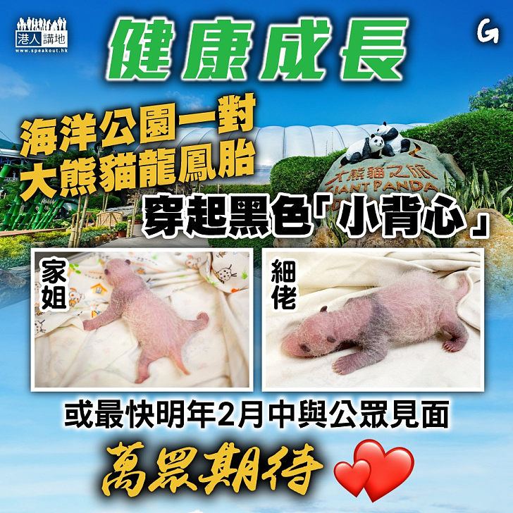 【今日網圖】健康成長